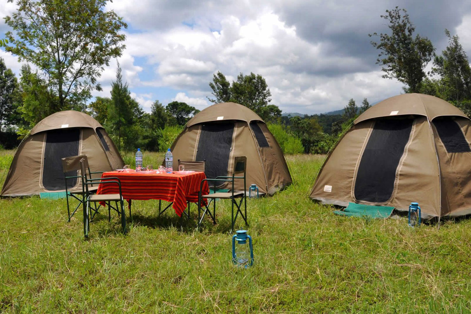 Fireants Adventures Limited