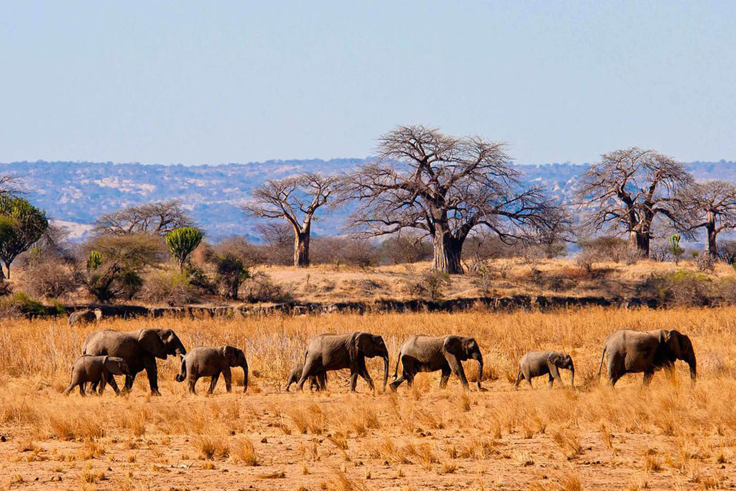2 Days Safari - Tarangire & Ngorongoro Crater