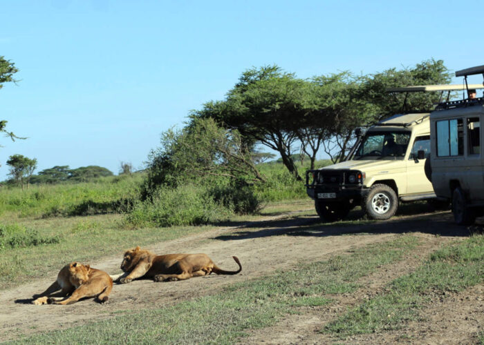 3-Day Manyara, Ngorongoro & Tarangire Safari