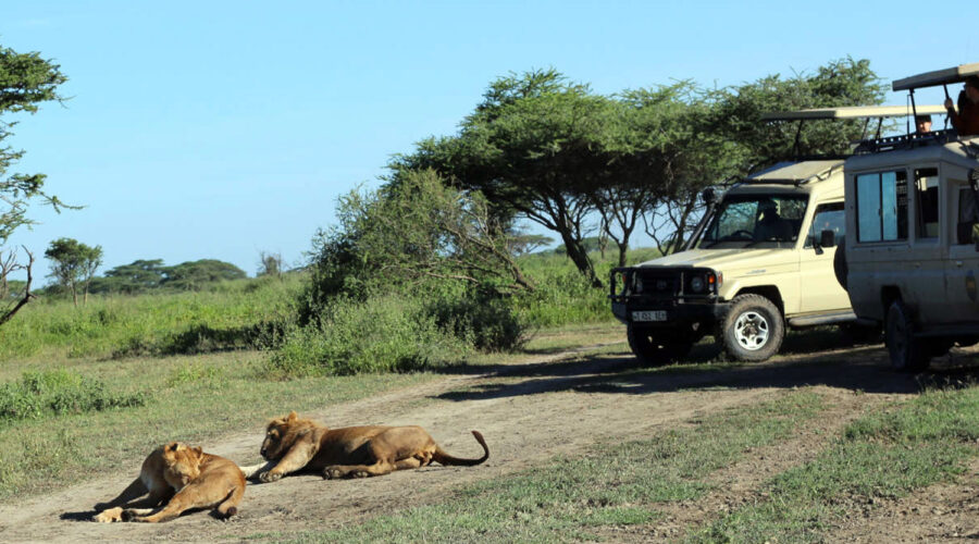 3-Day Manyara, Ngorongoro & Tarangire Safari