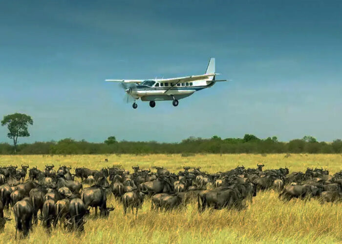 4-Day Fly-In Serengeti Migration & Ngorongoro Safari
