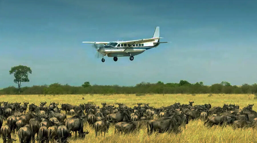 4-Day Fly-In Serengeti Migration & Ngorongoro Safari