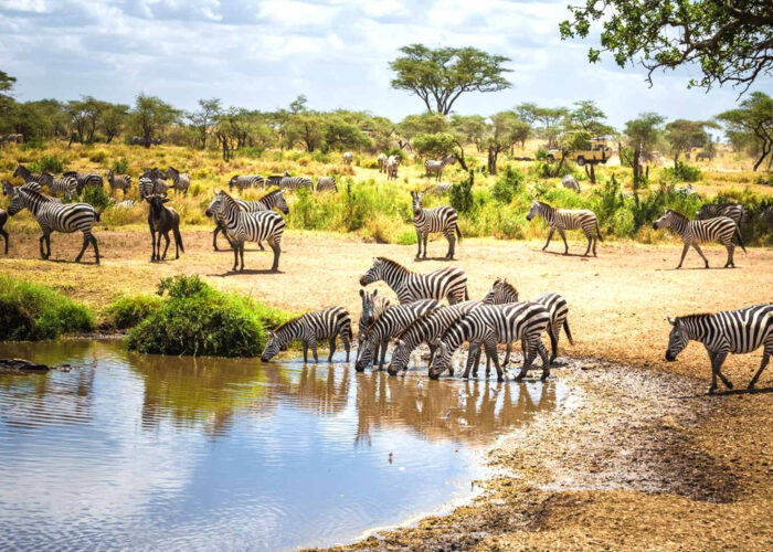Karibu Karatu Mid-Range Safari Programs