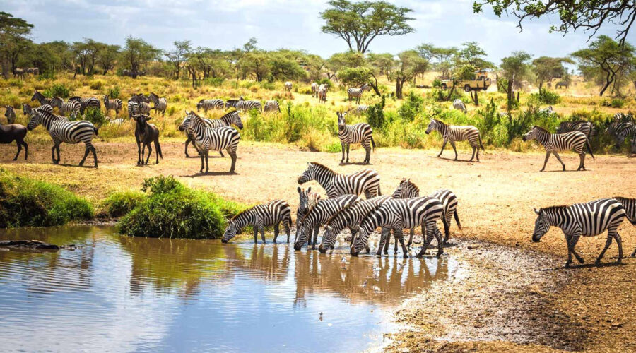 Karibu Karatu Mid-Range Safari Programs