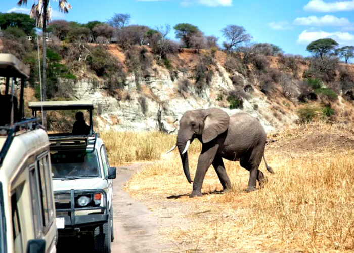 4-Day Tarangire, Serengeti Central & Ngorongoro Safari
