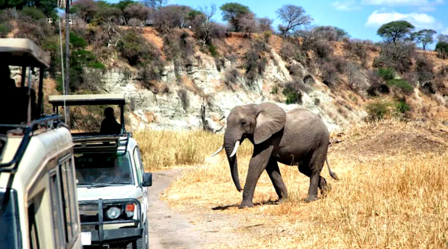 4-Day Tarangire, Serengeti Central & Ngorongoro Safari
