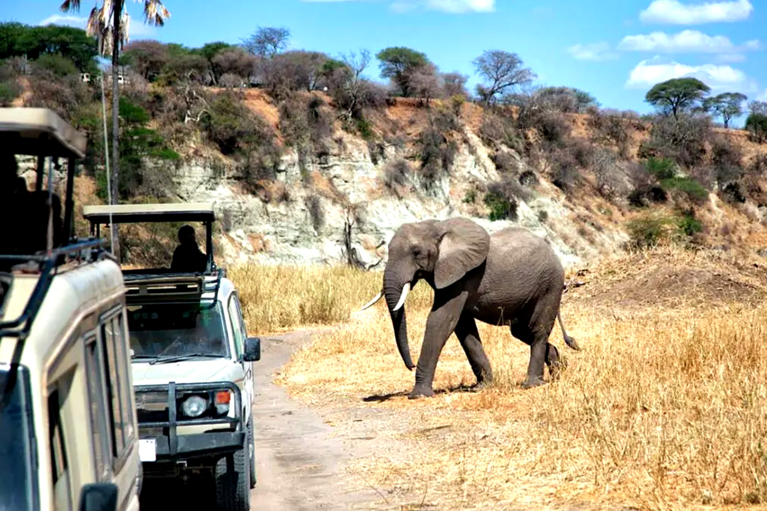 4-Day Tarangire, Serengeti Central & Ngorongoro Safari